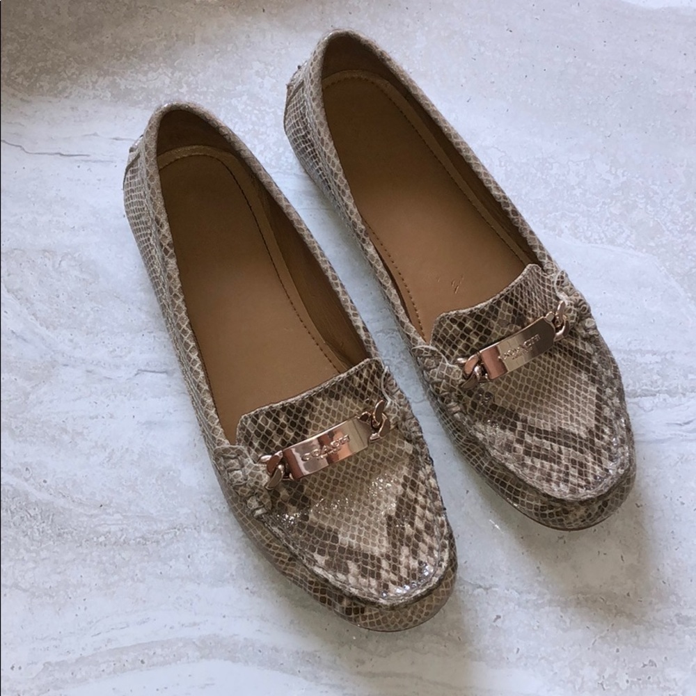 Olive Sand Printed Snake Coach Shoes - Picture 4 of 16